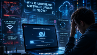 why is uhoebeans software update so slow